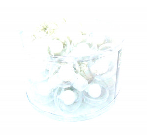 Гирлянда Лампочки Радуга   3,5 м.40 ламп