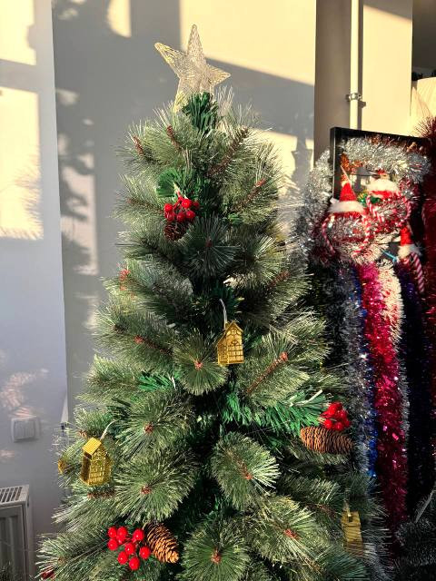 Гирлянда бахрома Звезды