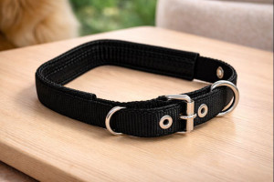 Ошейник для собак 48 см.длина 2 см.ширина 1 шт.