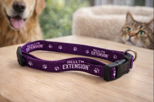 Ошейник удлинитель для животных 1,5 см.* 25-40 см.1 шт.