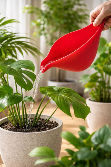 89225581212 Наталья