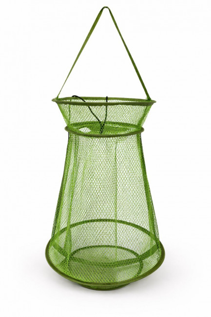 Алёна Ильичева